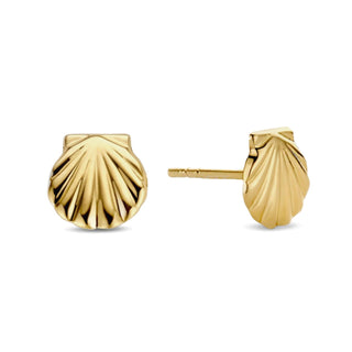 Shell Ohrstecker